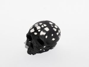 SKULL 01のサムネール