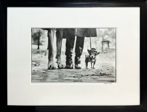 New York City(Dog Legs), 1974【サイン入】／エリオット・アーウィット（New York City(Dog Legs), 1974【SIGNED】／Elliott Erwitt)のサムネール