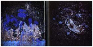 「Silent Book / Miguel Rio Branco」画像3