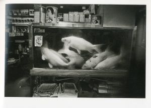 「猪瀬光　全作品 / 猪瀬光」画像10