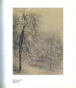 「The Unknown Josef Sudek Neznamy / Josef Sudek 」画像4