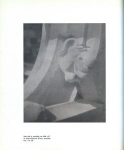 「The Unknown Josef Sudek Neznamy / Josef Sudek 」画像5