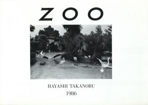 ZOOのサムネール