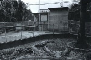 「ZOO / 林隆喜」画像6