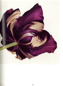 「Irving Penn: A Career in Photography / Author: Irving Penn」画像4