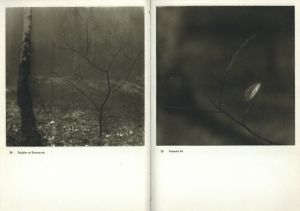 「JOSEF SUDEK FOTO GRAFIE / Josef Sudek」画像4