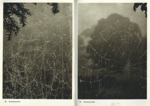 「JOSEF SUDEK FOTO GRAFIE / Josef Sudek」画像6