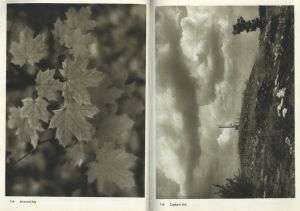 「JOSEF SUDEK FOTO GRAFIE / Josef Sudek」画像11