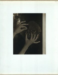 「Alfred Stieglitz The Key Set Volume 1 & 2 / NATIONAL GALLERY OF ART WASHINGTON / Alfred Stieglitz」画像2