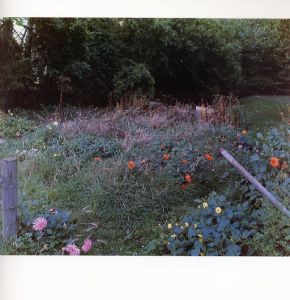 「THE MAD BROOM OF LIFE / 髙橋恭司」画像1