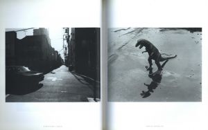 「NOBUYOSHI ARAKI TOKYO NOVELLE / Nobuyoshi Araki」画像4