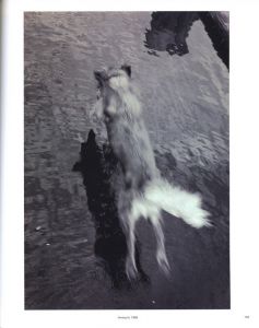 「View from above / Photo, Design: Wolfgang Tillmans」画像6