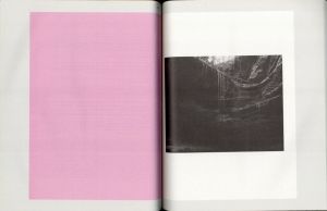 「Gathered Leaves Annotated [JAPANESE EDITION] / Alec Soth」画像8