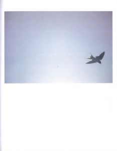 「Des oiseaux / 川内倫子」画像5