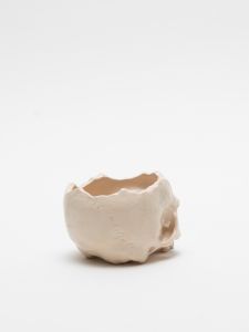 「植木鉢  IVORY / 丸岡和吾」画像4