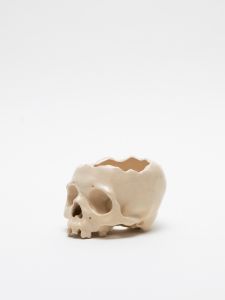 「植木鉢  IVORY / 丸岡和吾」画像3