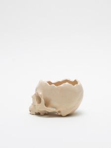 「植木鉢  IVORY / 丸岡和吾」画像1
