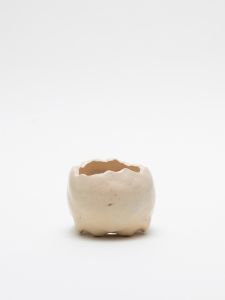 「植木鉢  IVORY / 丸岡和吾」画像2