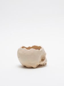 「植木鉢  IVORY / 丸岡和吾」画像4