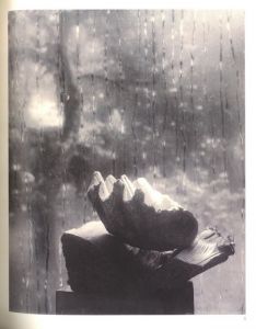 「Zátiší / Josef Sudek　」画像1