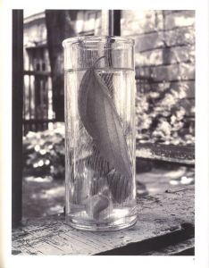 「Zátiší / Josef Sudek　」画像4