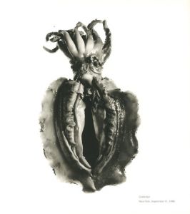 「STILL LIFE　Irving Penn Photographs 1938-2000 / Author: Irving Penn　Foreword: John Szarkowski」画像2