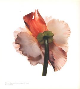 「STILL LIFE　Irving Penn Photographs 1938-2000 / Author: Irving Penn　Foreword: John Szarkowski」画像3