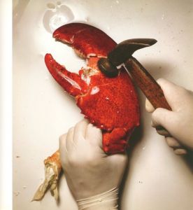 「STILL LIFE　Irving Penn Photographs 1938-2000 / Author: Irving Penn　Foreword: John Szarkowski」画像7