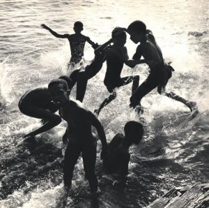 「Fritz Henle / Fritz Henle」画像5