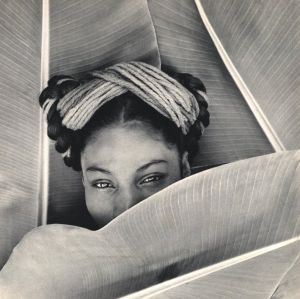 「Fritz Henle / Fritz Henle」画像6