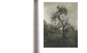 「SUDEK sonja bullaty / Josef Sudek 」画像4