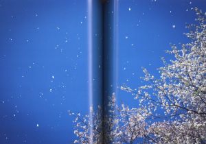 「Eternity in a Moment vol.3 / 蜷川実花」画像2