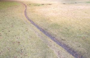 「はじまりのひ / 写真・文：川内倫子」画像2