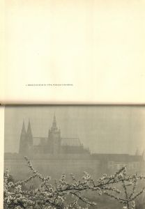 「PRAZSKY HARD / Josef Sudek」画像1