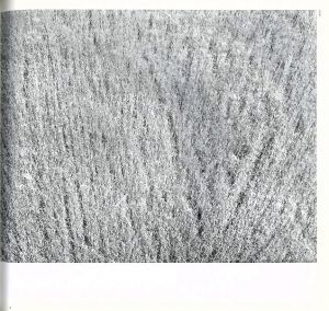 「Hysteric　松江泰治 / 松江泰治」画像7