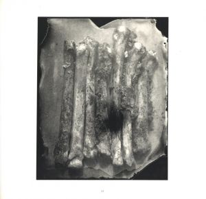「WHAT REMAINS / Sally Mann」画像2