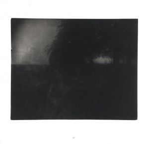「WHAT REMAINS / Sally Mann」画像5