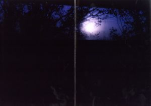 「vacancy? MAIKO HARUKI and KOKUYO / 春木麻衣子」画像1