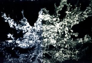 「cry of an echo / Photo, Design: Malgorzata Stankiewicz」画像4