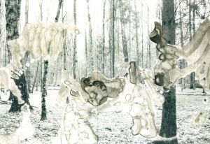 「cry of an echo / Photo, Design: Malgorzata Stankiewicz」画像3