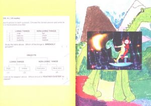 「The Abeyant Nursery / Quinn Lum」画像3