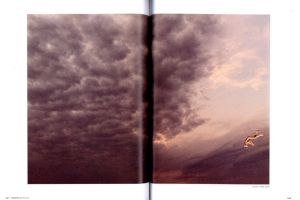 「PhotoGRAPHICA　特集：ライアン・マッギンレイ / 特集：ライアン・マッギンレー　編：沖本尚志」画像1