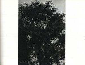 「そこへゆけ / 著：佐久間元」画像2