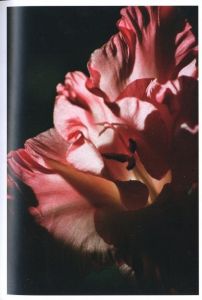 「LINA SCHEYNIUS 08 / Lina Scheynius」画像3