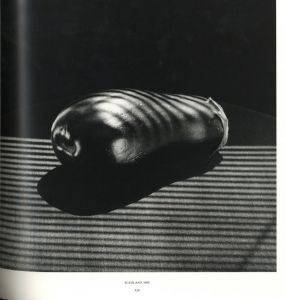 「MAPPLETHORPE / Photo: Robert Mapplethorpe　Edit, Design: Mark Holborn, Dimitri Levas」画像6