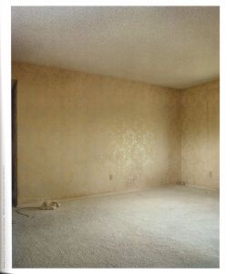「Intimate Distance / Todd Hido」画像7