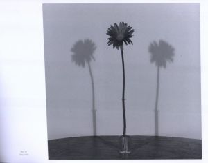 「MAPPLETHORPE THE COMPLETE FLOWERS / Author: Robert Mapplethorpe　Essay: Herbert Muschamp」画像3