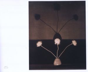 「MAPPLETHORPE THE COMPLETE FLOWERS / Author: Robert Mapplethorpe　Essay: Herbert Muschamp」画像4