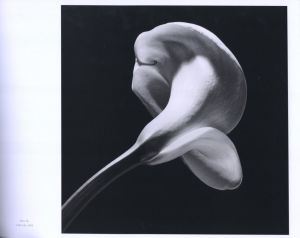 「MAPPLETHORPE THE COMPLETE FLOWERS / Author: Robert Mapplethorpe　Essay: Herbert Muschamp」画像5