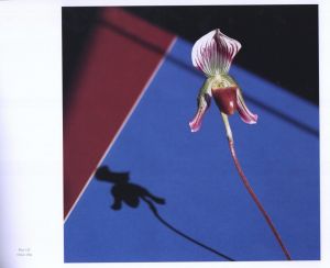 「MAPPLETHORPE THE COMPLETE FLOWERS / Author: Robert Mapplethorpe　Essay: Herbert Muschamp」画像6